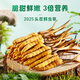 紫蓝花海新鲜冬虫夏草头茬鲜虫草自用送礼佳品礼盒装 1.1-1.2克/根 100根