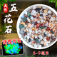 Runhua Nian Pure Rain Flower Stone Potted Succulent Pavement Stone Small Multicolored Stone Fish Tank Pavement Ornamental Stone Colorful Small Stone Multicolored Stone 6-9mm 5.2Jin Jin equals 0.5kg (hot)
