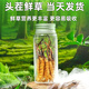 2025年鲜虫草头期正宗新鲜冬虫夏草精选鲜草大草顺丰冷链产直发 西藏那曲鲜虫草每条0.5克10条装