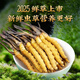 2025年新鲜冬虫夏草正宗头期鲜虫草1.2克/根正品鲜草送礼品补品 1.2克以上/根【冷冻保存】 50根送6根新鲜虫草再送礼盒