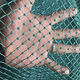 Chicken net, chicken net, fishing net, breeding net, fence net, nylon vegetable garden fence, climbing vine grid, chicken net, protective fish net, thickened 18 strands, 3 cm, thickened ribs, 1.5 meters high, 10 meters long