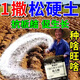 Soil loosening essence without deep plowing to improve soil hardening soil activator black water fertilizer vegetable garden plowing and loosening artifact 500g 5 bags loosening essence soil activator