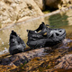 
361 sports slippers men go wild sandals wear summer sports beach outdoor stream hiking hole shoes 672526701-4