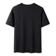 Pathfinder (Torad) Kurzärärmische Männer 24 Frühlings- und Sommer-Outdoor-Sportwaben bionisch schnell trockenes Schwitzen und Feuchtigkeitsabsorption T-Shirt Tajjbm81724 Männer-Ore Blue 724 xxl