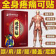 Li Shizhen Plaster Patch 24 Applying Shoulder Periarthritis Lumbar Disc Herniation Osteogenesis Synovitis Lumbar Leg Pain SN9768 Upgrade Strong Type-1 Box 24 Appliance [Experience Package]