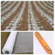 White mulch film agricultural plastic mulch film thermal insulation and moisturizing orchard transparent plastic engineering film planting protection film 5Jin Jin equals 0.5kg white 0.6m wide 600m long/roll