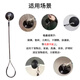 Wenzhi pet grooming fixed lanyard sling accessories cat and dog scissors shaving holder grooming table bathing wire hanging rope universal cat and dog grooming sling*30Jin Jin is equal to 0.5 kg