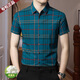Chiarmania Shirt à manches courtes Mulberry Mulberry Silk Plaid Plaid à mi-manche