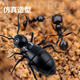 
Remote-controlled electric ant children's prank decompression artifact simulation for little boys and girls fun black technology toys [Classic version - Remote-controlled ladybug] Red model 9922+ equal code