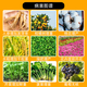 Sanliu 75% gibberellic acid gibberellin seed soaking, germination, seedlings, agricultural materials, plant growth regulator 50g