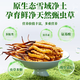 2025 Fresh Cordyceps sinensis top period Selected fresh Cordyceps SF Express cold chain origin straight hair large fresh grass. Each fresh Cordyceps in Tibet has 0.6 grams of 100 pieces packed with 0.6 grams of each