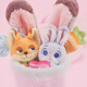 Disney Zootopia Nick Judy Süße Vollcore Doll Bouquet Plüschspielzeug Geburtstagsgeschenk weibliche Abschlussgeschenk