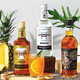 Tanton Rum Mojito Cocktail kostenlos kubanische Getränke Basis Wein Backwein Philippinen Originalflasche importiert Weiß Rum 750 ml 1 Flasche 40%Vol.
