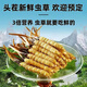 2025年鲜虫草头期正宗新鲜冬虫夏草精选鲜草大草顺丰冷链产直发 西藏那曲鲜虫草每条0.5克10条装