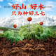 北京同仁堂品质云南文山三七粉18足头特纯三七粉超细粉田七粉250g/罐2罐500g 四罐共1000g送礼品袋