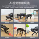 幻尔ROS机器人树莓派四足机械狗AI视觉大模型仿生可编程slam建图 入门版 树莓派4B/4G