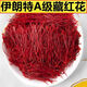 北京同仁堂特级藏红花西藏西红花茶叶营养品中药补品藏红花礼盒保健品礼物 特优级长丝藏红花[一瓶]