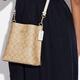 Coach (Coach) 618 Coach Mollie Classic Metal Logo Ikonischer Käfig Künstlicher Leder -Bucket -Bag Handheld Basic -Paket (Bag + Dust Bag)