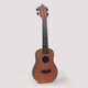 Swan (SWAN) Learn to play ukulele 23-inch Yurikke Beginners Men and Women Students Children's Toys Small Guitar Sakura Chocolate 21
