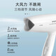 FLYCO hair dryer foldable negative ion hair care student dormitory high-power home barber shop hotel hair dryer FLYCO's Borui PH1608 800W foldable
