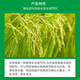 Guoguang 15% paclobutrazol control leggy growth control dwarf succulent rice chlormequat control plant growth regulator 500g