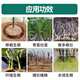 Guoguang Genpan 5% indolinacetic acid tree bonsai flower seedling cutting rooting liquid universal pesticide growth regulator