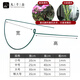 Jiuqiangu plant support frame support bracket gardening flower stand balcony climbing vine leaf guard semicircle 35*70CM 2 pairs set 8373