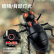 
Remote-controlled electric ant children's prank decompression artifact simulation for little boys and girls fun black technology toys [Classic version - Remote-controlled ladybug] Red model 9922+ equal code