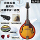 天鹅（SWAN）西洋乐器八弦曼陀铃琴 电声曼陀林吉他琴 民族乐器藏族曼陀铃琴 电声款日落色-浙江仓发货