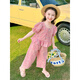 Disney (Disney) Girls Summer Set 2025 Neue Kinder modische modische Baby Sommerplaid Kleidung Zwei-teilige koreanische Version Pink 130 cm