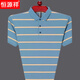 Hengyuanxiang Sommer mittleren Alters mit kurzem T-Shirt für Herren für Herren Revers bequemes Eis Seidenstreifen Polo. Hemd halbärmelige Herren-Top New HH826 Green M 165 (Empfohlen 100-120 Jin [Jin ist gleich 0,5 kg])