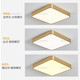 Techo de lámpara de balcón de todopper duradero 2024 NUEVA Lámpara de alero de entrada Villa Entrance Hall Light Sucking Outdoor New X3893-500-104 Watt Light de tres colores