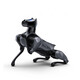
Xiaomi Tiedan second-generation robot dog cyberdog2 remote control programming intelligent charging robot electric mechanical dog second-hand Tiedan machine dog