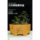 宜兴六方紫砂花盆特大兰花盆绿植花卉大号六角陶瓷盆景盆 693小号