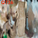 Natural Whole Wood Natural Edge Camphor Holz altes Material Massivholzblatt Original ökologischer Tee Arbeitsplatte Holzbrett Custom Holz Q1099 Länge 164 Breite 13-26 Dicke 4 polierte Entbindung