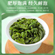 
Zhonggu Yupin Anxi Tieguanyin Tea 500g Special orchid fragrance resistant oolong tea new tea can be cold brewed tea gift box