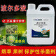 Bordeaux liquid citrus tree apple tree fungicide cucumber downy mildew canker disease ring spot disease special 1000g