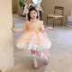 Vestido de princesa de la niña hormiga Lolita 2025 NUEVO SUMER CHILLE's Fair Fair Dress Vestido de cumpleaños para niñas Rosa (6630 Flower Fairy Vestido + Soporte de falda) 140 Recomendado 7-8 años (aproximadamente 135 altura)