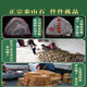 XMSJ Fidelity Taishan Stone wagt es, der ungeschnittene Originalstein zu sein, der den Mountain Stone Corning Office Ornamente nicht geschnitten hat Taishan Stone M694