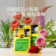 Stanley flower preservative household nutrient solution florist special extender sachet lily rose fresh cut flower 100ml