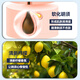 阿帕齐阿帕齐男士剃须泡沫阿帕奇刮胡子泡沫剃须膏剃须刀手动软化胡须须刨啫喱换购 可过安检剃须膏100g*2
