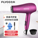 飞科电吹风机家用负离子护发大功率可折叠学生宿舍电吹风筒FH6618 FH6231【2000W家用恒温护发款+可折叠】