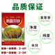 Guizhou glutinous rice seeds long-grain fragrant glutinous rice seeds paddy field seeds Huinuo 330 pearl glutinous rice seeds early and late rice seeds regular Taihe fragrant glutinous rice seeds a pack (round glutinous rice 200 grams)
