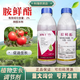 Jianwufeng Jianwufeng 2% ethylamine promotes germination cell division, rooting, strong seedlings and enlarging fruits, stress-resistant growth regulator 500g