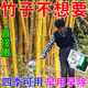 Cyclazinone is a special medicine to remove dead trees and rotten roots of large trees. Herbicide is a special medicine to remove big trees and remove rotten roots of bamboo. Genuine Cyclazinone 20Jin Jin is equal to 0.5kg