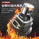 Ai Ruidun German chain saw gasoline saw high power electric logging saw handheld small electric chain saw household saw tree chain saw 11980Wa selection version 2 German chain 1 guide plate