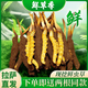 Beijing Tongrentang same quality fresh Cordyceps sinensis 2025 first-year Cordyceps authentic leader high-altitude gift authentic Cordyceps dry brush Lhasa fresh Cordyceps 1.2 grams (cordyceps king) 30 root - 2 roots (32 roots in total)
