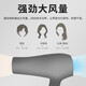 FLYCO hair dryer for home high power constant temperature hair care large wind speed drying dormitory bore tail cargo machine [quality home appliances] Feike FH6232 same model [BR1626] + air cushion comb + roll comb
