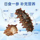 Liao Cucumber Dalian Frozen Sea Cucumber 3 Jin Jin is equal to 0.5 kg, packed with 10-12 heads*3 non-ready-to-eat independent packaging, straight from the source, solid content 85%