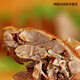 Nanping Wuyi Mountain Specialty Smoked Goose languides Smoked Spicy Alimented Vacuum Embalaje Media extra picante [Besaje a granel 757g]